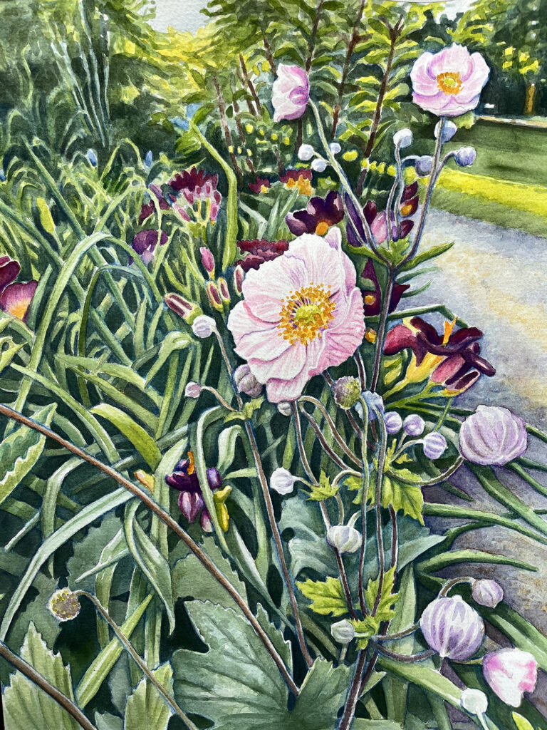 Anemoner