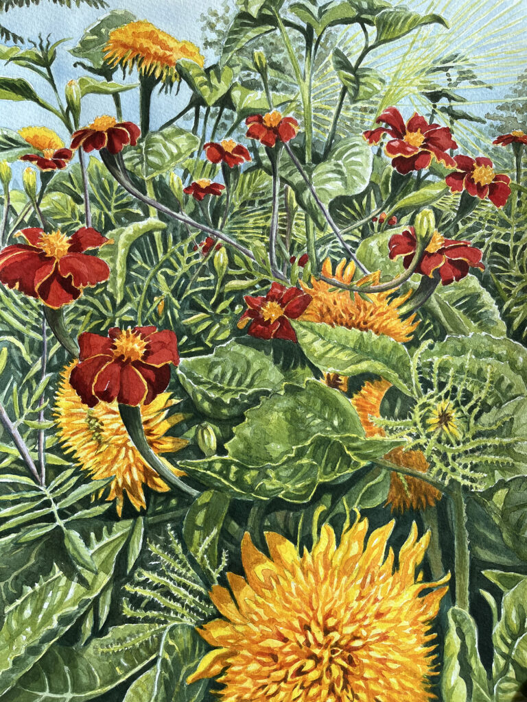 Linnétagetes och solrosor