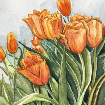Orangea tulpaner Orangea tulpaner