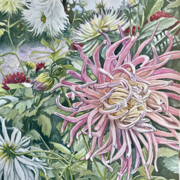 Dahlia Dahlia
