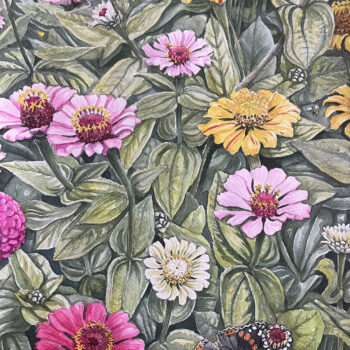 Zinniarabatten Zinniarabatten