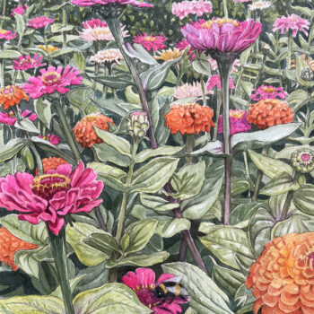 Zinniahavet Zinniahavet