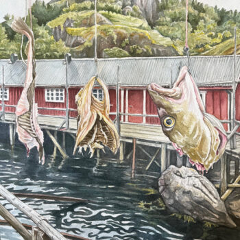 Torsk på Nusfjord, Lofoten