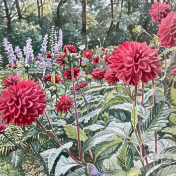 Röda dahlior och blåvinge