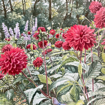 R&ouml;da dahlior och bl&aring;vinge